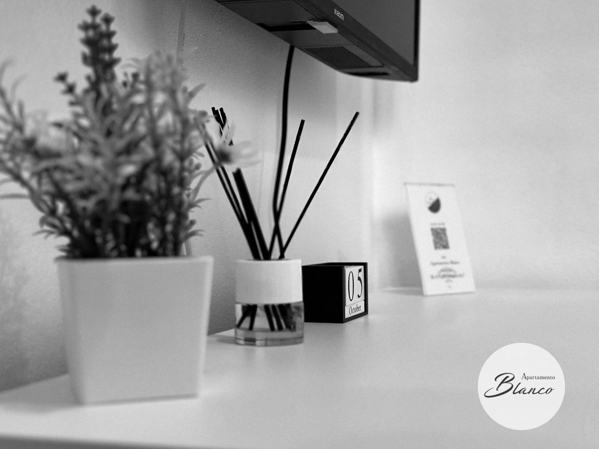 Apartment Blanco & Negro